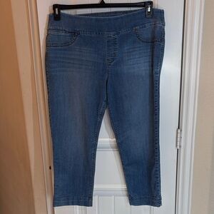 Style & Co. Denim Blue Women's Capris